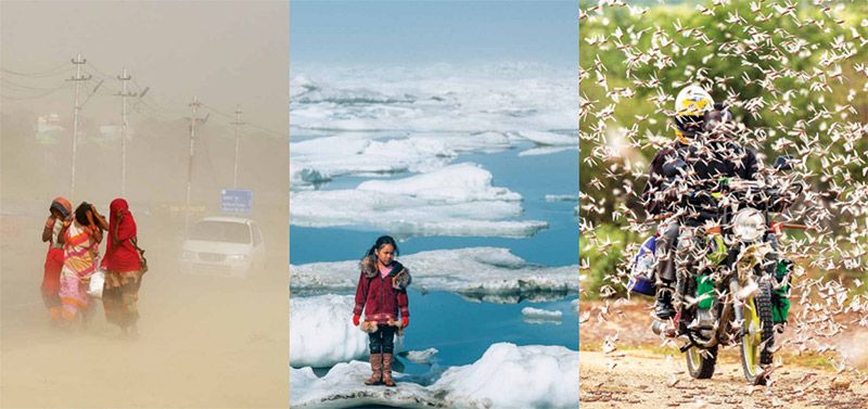 新型生物刺激素集成技術(shù) -- 積極應(yīng)對非生物脅迫對農(nóng)業(yè)生產(chǎn)影響,助力糧食產(chǎn)量和農(nóng)產(chǎn)品品質(zhì)雙提升