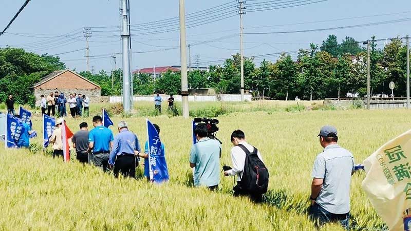 520健康植保日——擁抱綠色農業(yè)，我們在行動