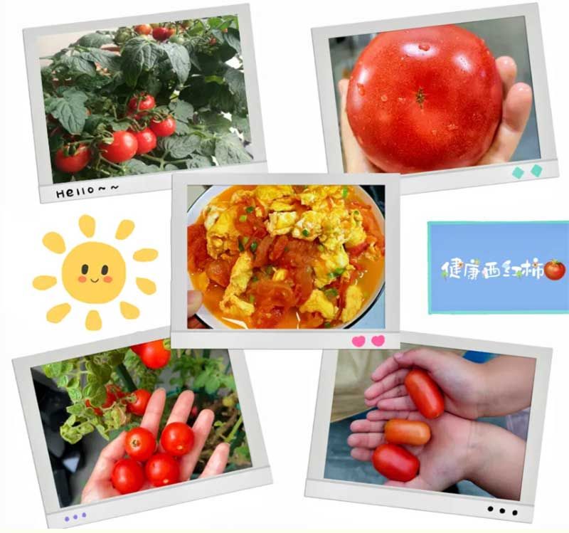 朝陽農(nóng)藝師系列活動(dòng)